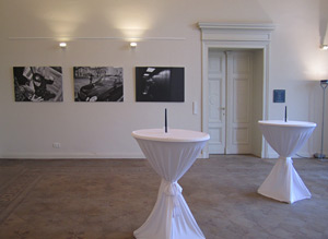 Ausstellung: Anpassung &ndash; Villa Henckel, Potsdam, Foto: Ursula Röper